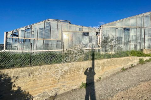 Helårsgrund i Ospedaletti, Imperia, Ospedaletti - € 200.000 | Ref: EM1275 - foto 15